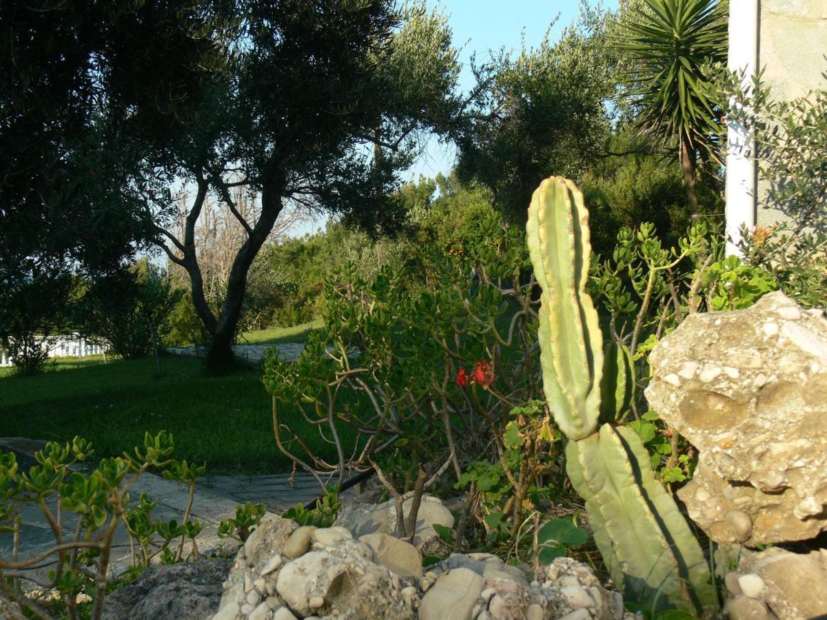 Villa Quietude Agios Stefanos Avliotes  Pokój zdjęcie