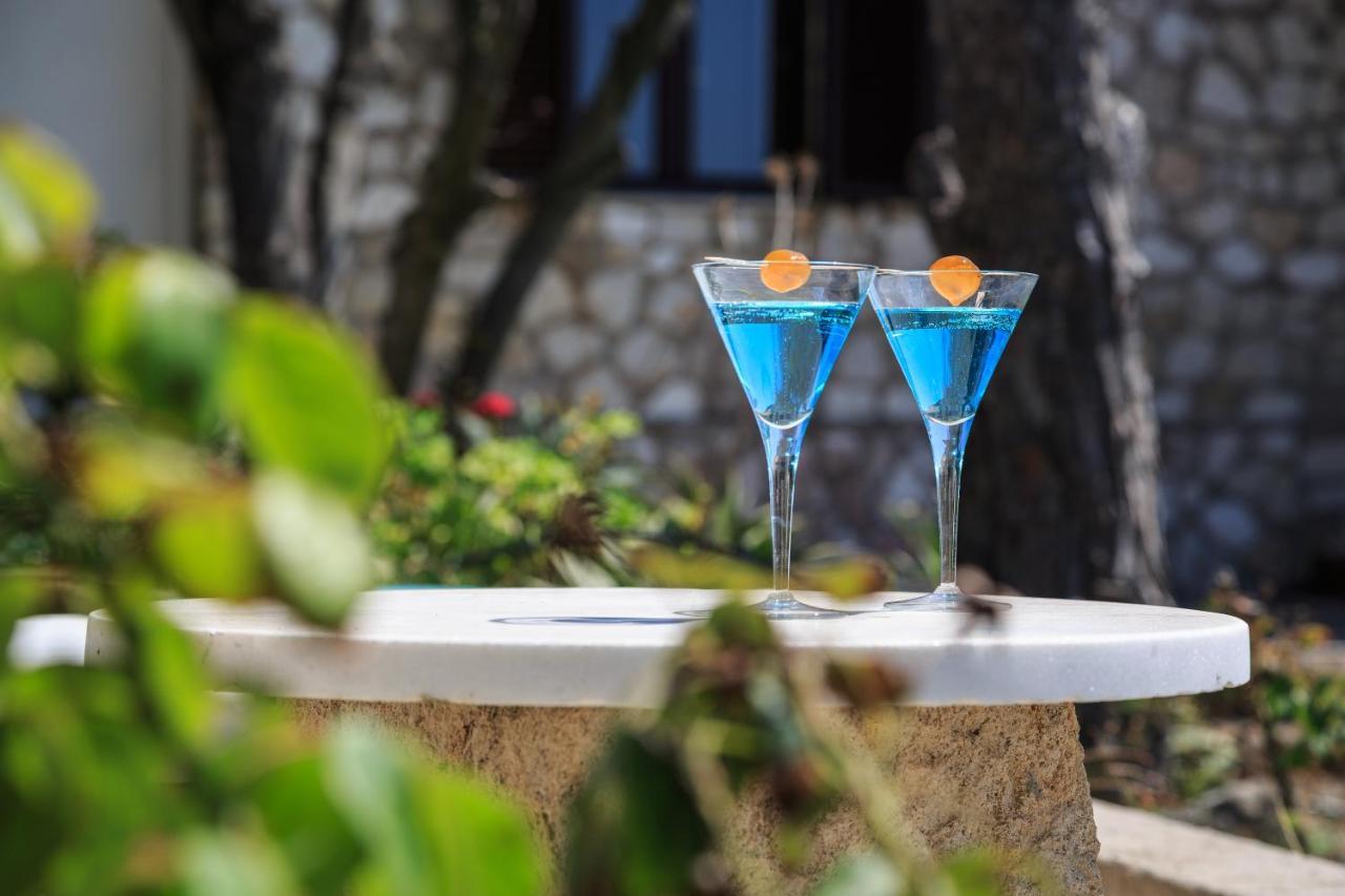 Villa Quietude Agios Stefanos Avliotes  Zewnętrze zdjęcie